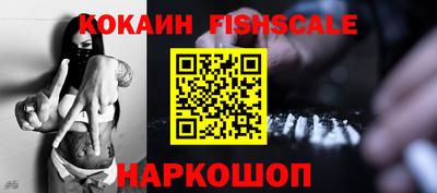 индика Новозыбков