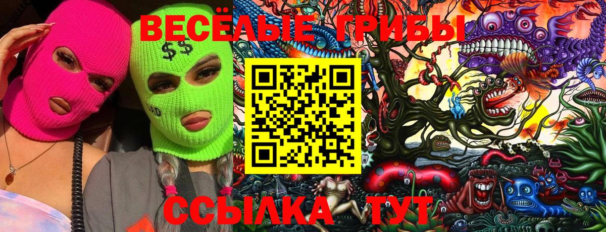 Саяногорск  Псилоцибиновые грибы MAGIC MUSHROOMS  Галлюциногенные грибы мицелий  Вход с VPN 