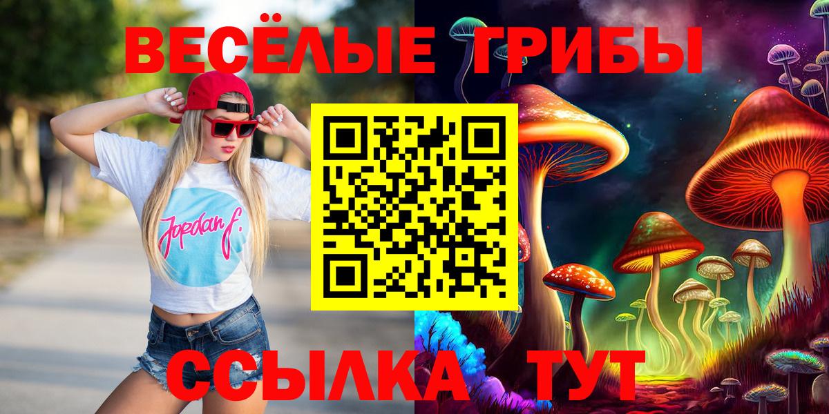 Галлюциногенные грибы Cubensis Саяногорск